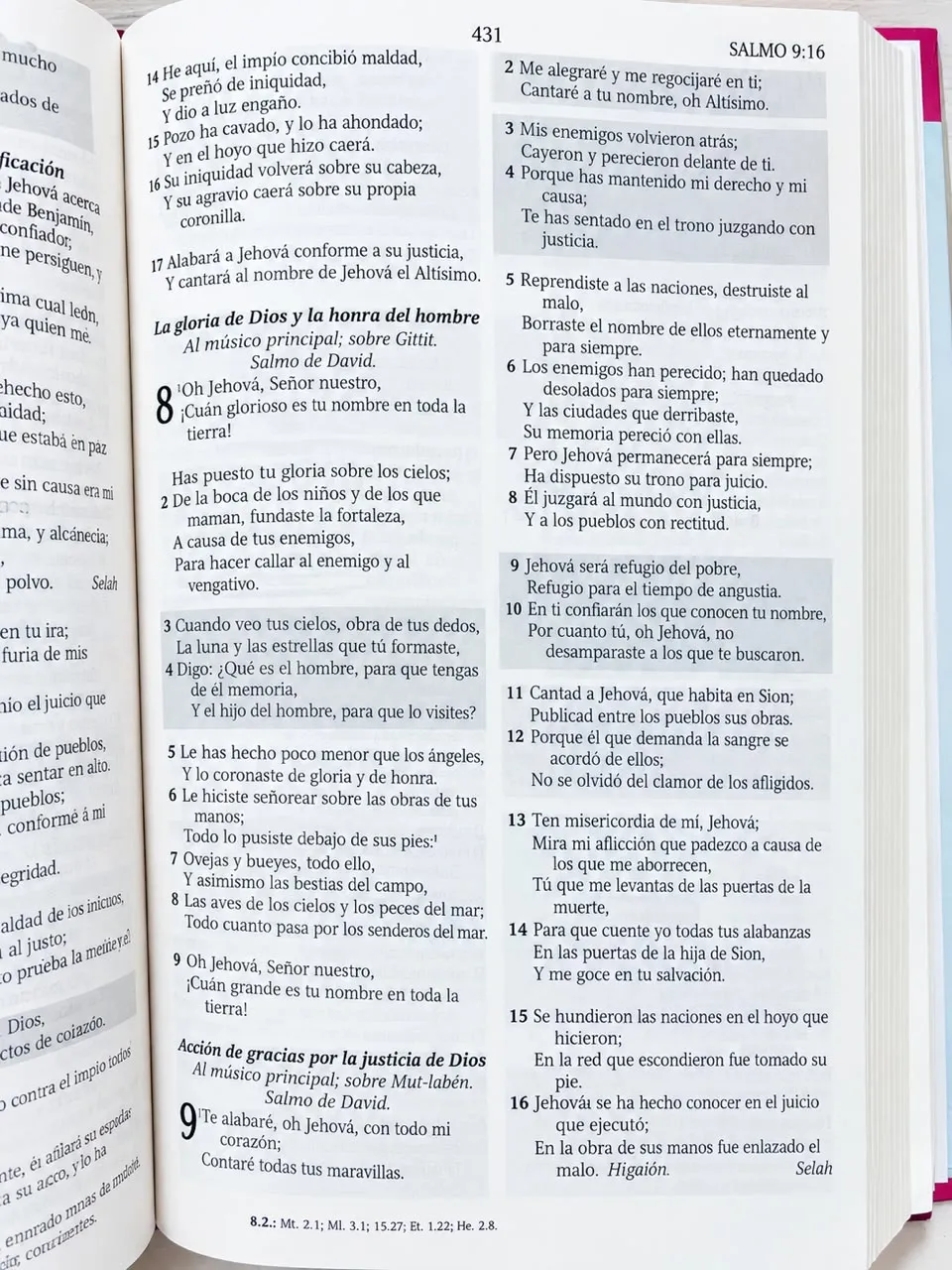 Biblia para Niños edición Promesas Rvr 1960 tapa dura