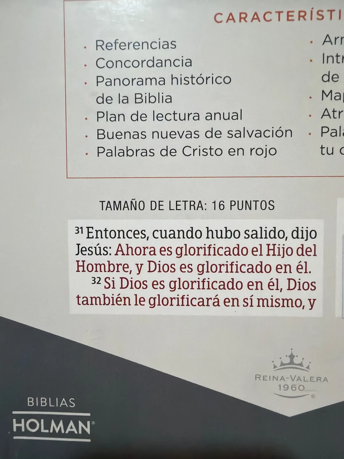 Biblia bordada Letra Súper Gigante s